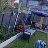 Photo 8: Garden