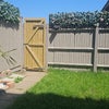 Photo 9: Shared  space Garden