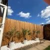 Photo 8: Shared space garden
