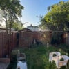 Photo 4: Garden