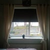 Photo 5: bedroom window