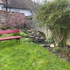 Photo 8: Garden