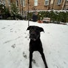 Photo 7: Fenris