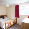 Photo 2: Room available