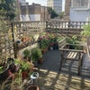 Photo 4: INCREDIBLE GARDEN
