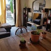 Photo 7: Living Area