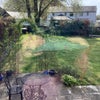 Photo 9: Rear Garden