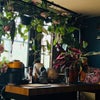 Photo 3: Breakfast bar & lots of plants