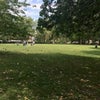 Photo 9: Next to Vauxhall Park