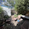 Photo 8: garden