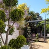 Photo 1: Garden 