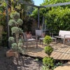 Photo 10: Garden 
