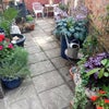 Beautiful room in Jericho for short term - View 3
