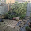 Photo 2: Shared garden