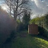 Photo 3: Back Garden