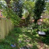 Photo 8: Garden