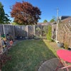 Photo 3: Garden