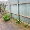 Photo 9: Side view of garden entrance 