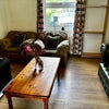 Photo 4: Bright, relaxed shared space to unwind
