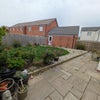 Photo 6: Garden