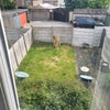 Photo 9: Back garden