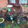 Photo 4: Front garden 