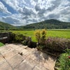 Photo 4: garden