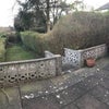 Photo 3: Terrace