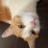 Photograph of Abi
