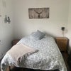 Photo 2: second bedroom 