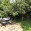 Photo 7: Back Garden