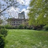 Photo 7: Old Paradise Gardens