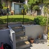 Photo 9: Garden