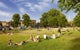 Photo of flatshare in Clapham