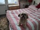 Photo of flatshare in Hull