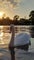 Photo of flatshare in Walton-on-Thames