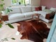 Photo of houseshare in Wallington