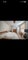 Photo of houseshare in Birmingham