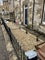 Photo of flatshare in Penicuik