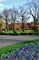 Photo of flatshare in Stepney