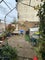 Photo of house to rent in Plaistow