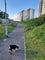 Photo of flatshare in Glasgow