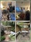 Photo of flatshare in Camberwell