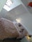 Photo of houseshare in Mildenhall