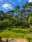 Photo of houseshare in Bracknell