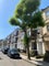 Photo of flatshare in Camden