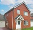 Photo of houseshare in Bowthorpe