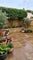 Photo of flatshare in Weybridge