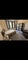 Photo of flatshare in London SW16
