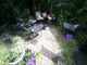 Photo of houseshare in Bristol
